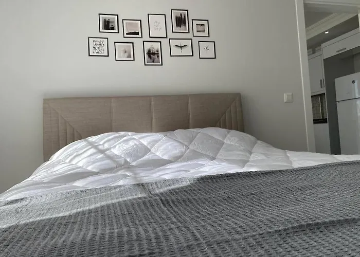 Ceylanhouse-2 דלמן