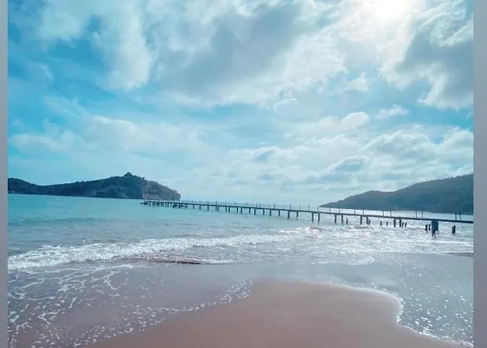 Ceylanhouse-2 דלמן